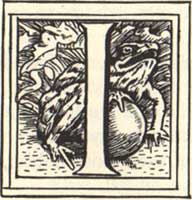 An Illustration from 1886 of 'The Frog King' by Walter Crane (Heiner 2002)